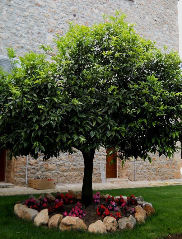 Sonnino Agriturismo Casale Re מראה חיצוני תמונה