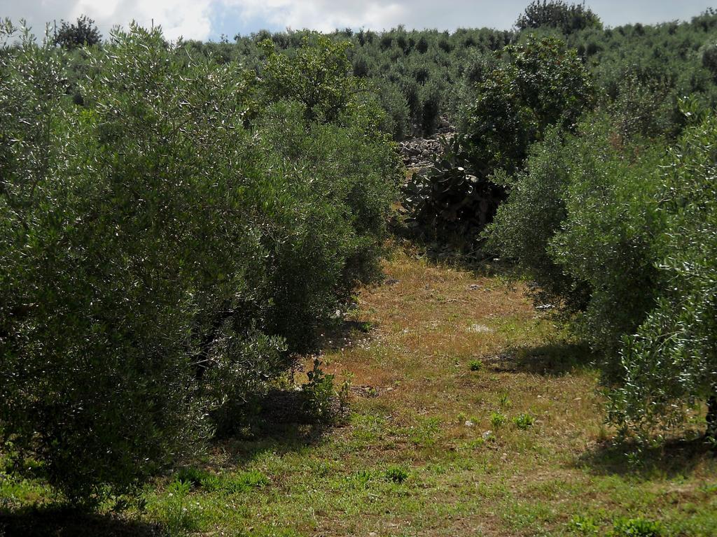 Sonnino Agriturismo Casale Re חדר תמונה